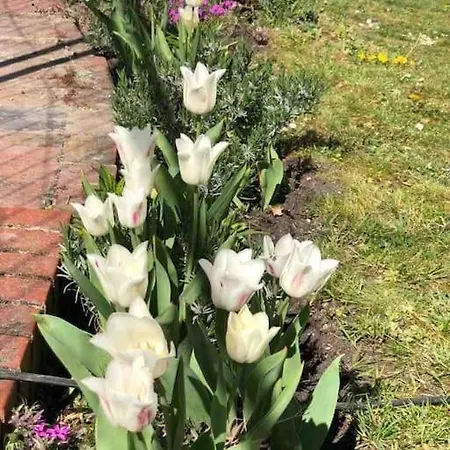 아파트 Private In Misburg, 하노버