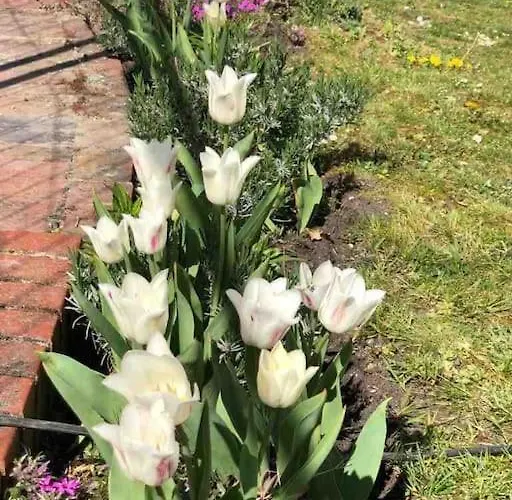 公寓 Private In Misburg, 汉诺威